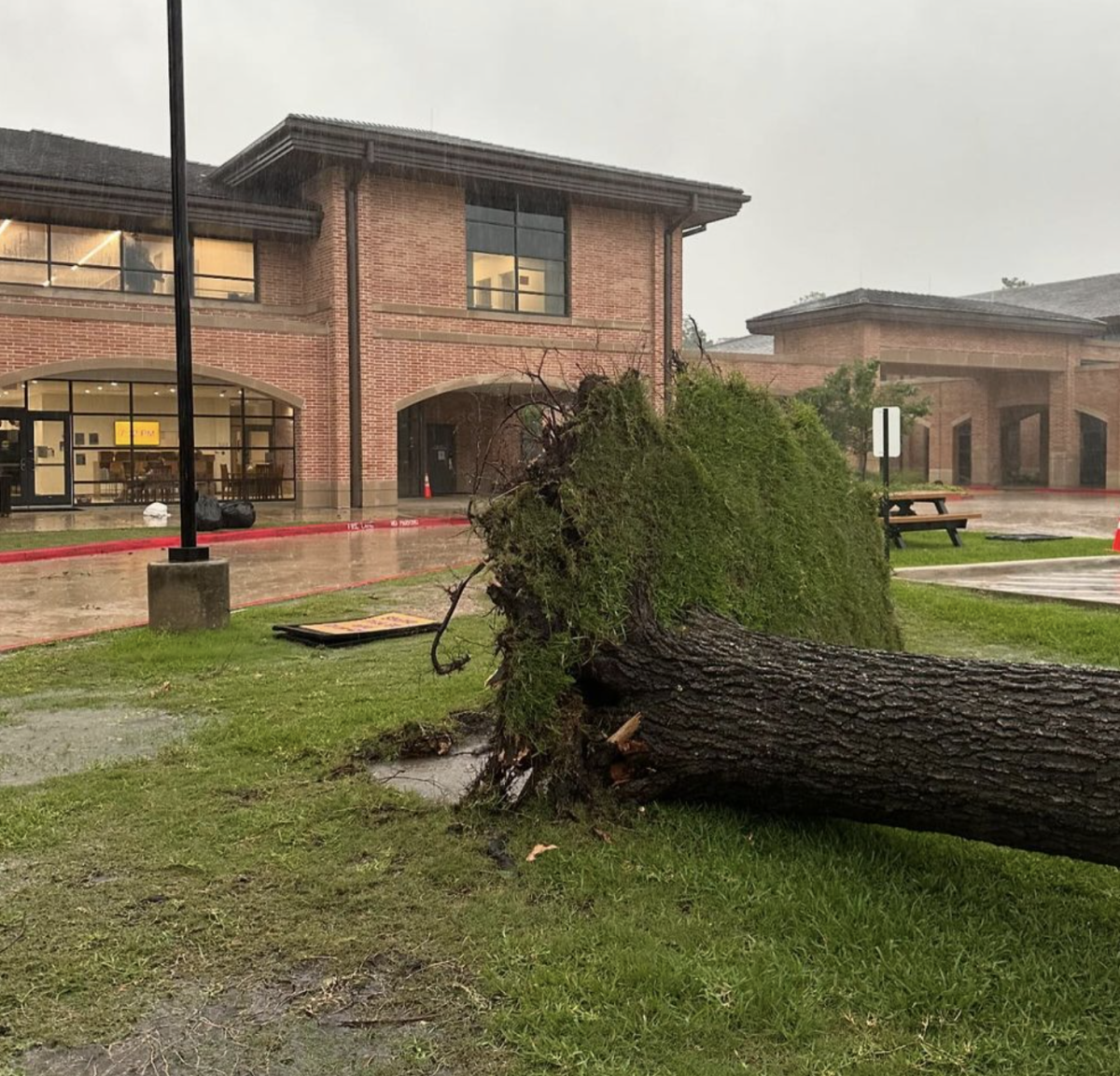 Kinkaid saw several of its trees uprooted by heavy winds on May 16.